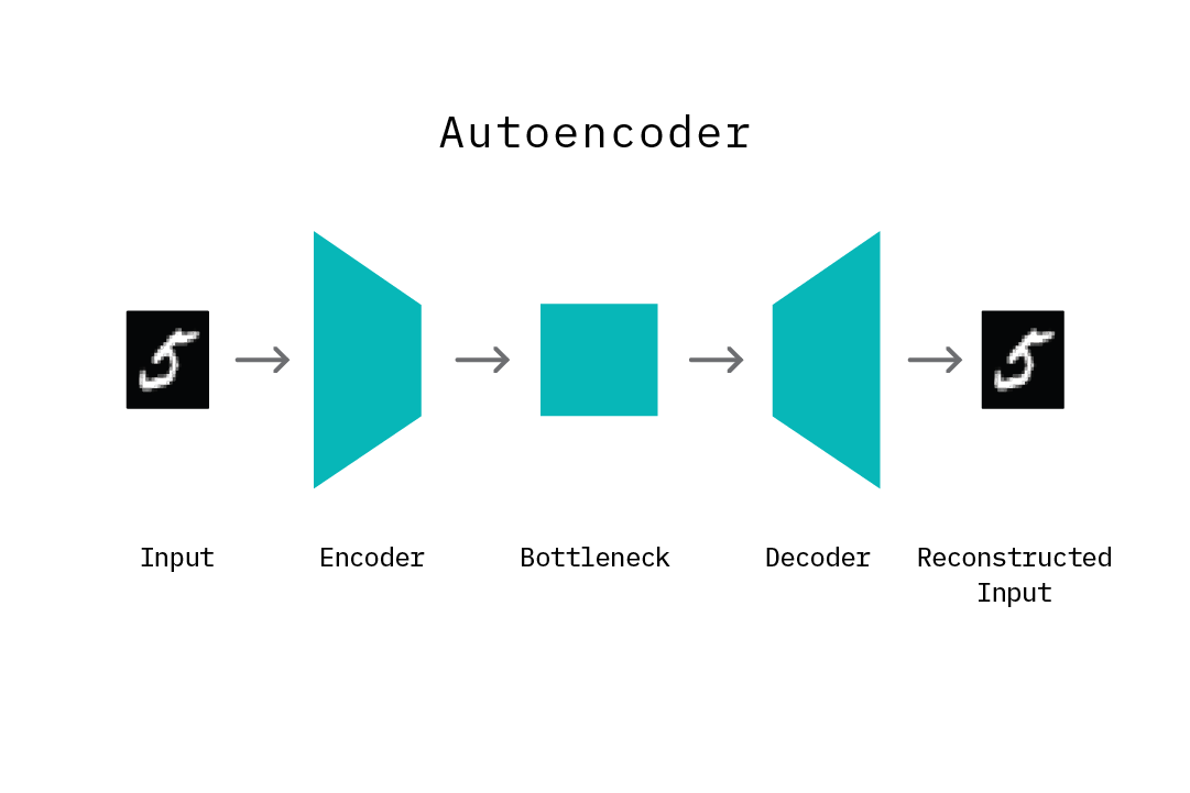 The components of an autoencoder.